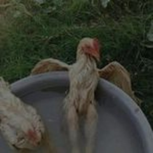 Kiss Me Thru The Phone (sped up)