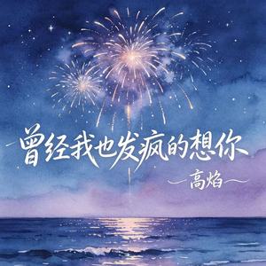 曾经我也发疯的想你