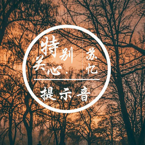 特别关心提示音