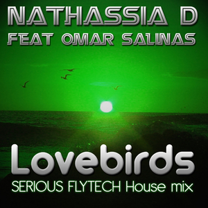 Lovebirds (Serious FlyTech House Mix)