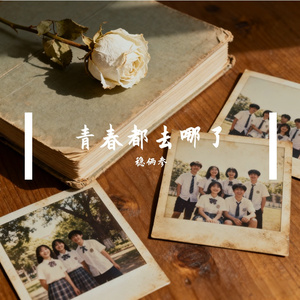 青春都去哪了