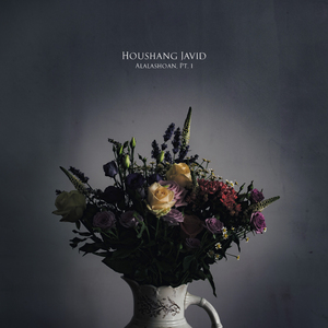 Ayin Bastani Bil Gardani