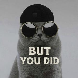 But You Did