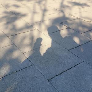 사랑이라서(The Love)정통트롯