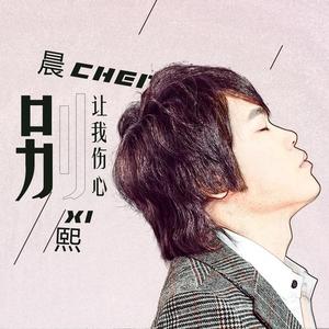 别让我伤心 (DJ版)