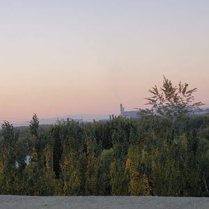 总有一天你会出现在我身边