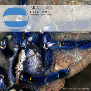 Arachnid