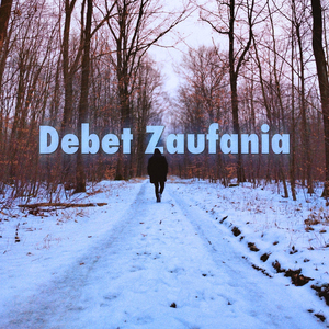 Debet Zaufania