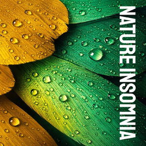 α波を刺激するゆらぎギター 睡眠導入の癒しストレス軽減のリラックス音楽 (自律神経を整える睡眠用 森 鳥)