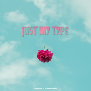 Just My Type (feat. Meeon)