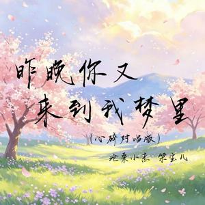 昨晚你又来到我梦里(心碎对唱版)
