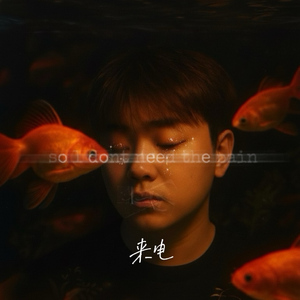 来电(so i dont need the pain)