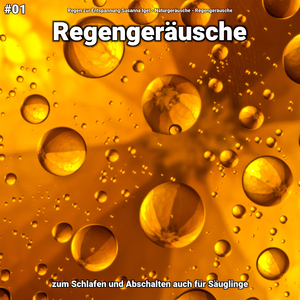 Regengeräusche, pt. 23