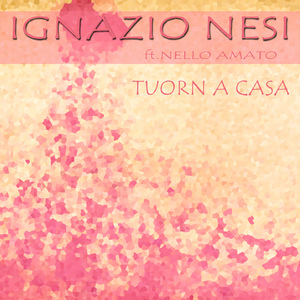 Tuorn a casa