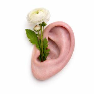 Interrupted Call (melodic deep house)