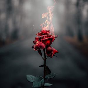 Liili-Hot(慢速+混响)（深情且纯爱 remix）