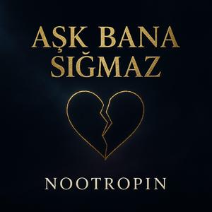 Aşk Bana Sığmaz
