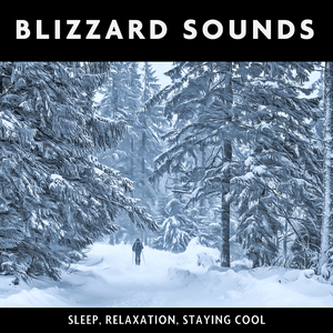 Snow Sounds (Looped, No Fade)