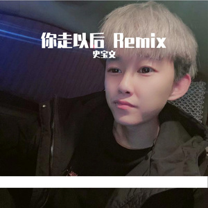 你走以后 Remix
