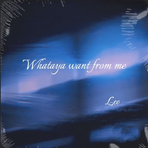 Whataya Want from Me (Covered by Leo)