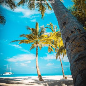 适合水疗从容的音乐