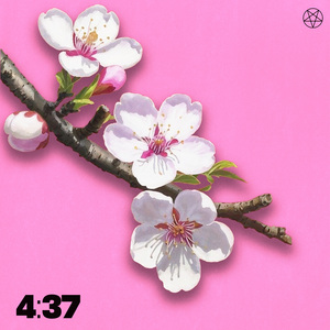 4:37