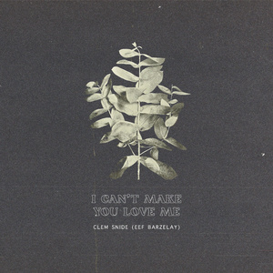 I Can't Make You Love Me