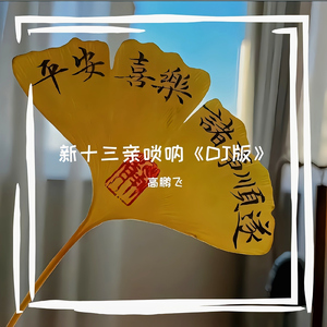 新十三亲唢呐伴奏 (DJ版)