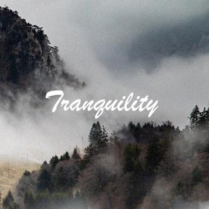 Tranquility (feat. Munboi)
