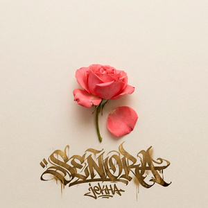SEÑORA