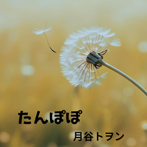 たんぽぽ
