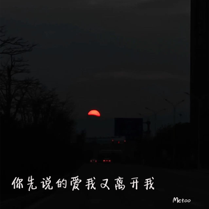 你先说的爱我又离开我
