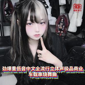 DJ国飞-劲爆重低音中文全流行立体声极品商业车载串烧舞曲（DJ国飞 remix）