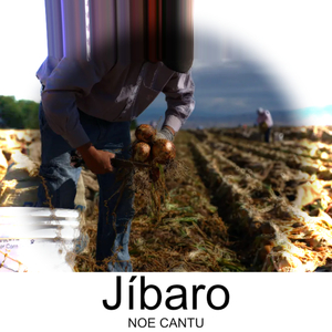 Jíbaro