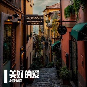 美好的爱