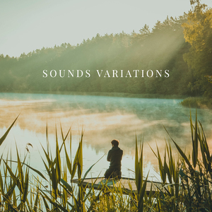 Variatons of Guitar