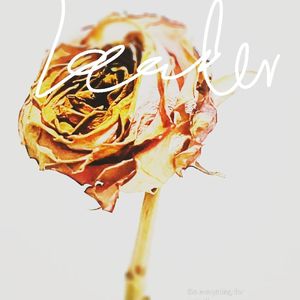 MY HEART GO PAY(prod.4harry)