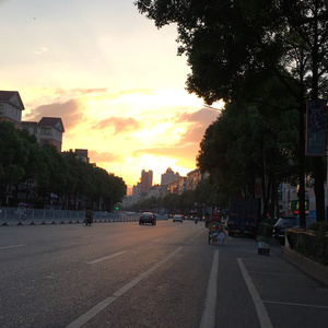 萍城目（翻自 Maxone）