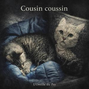 Cousin coussin