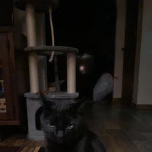 outta sight, outta mind.