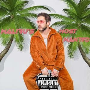 Malibu's Most Wanted