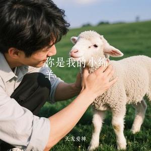 你是我的小绵羊