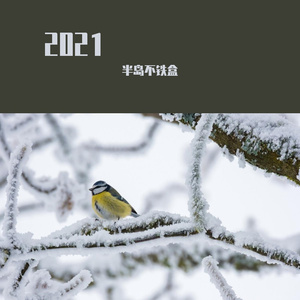 会有的（翻唱）