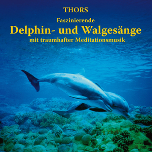 Gesänge des Buckelwales