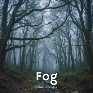 Fog