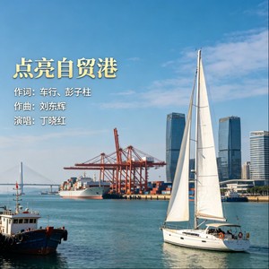 点亮自贸港