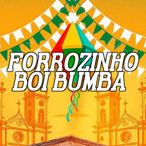 FORROZINHO BOI BUMBA