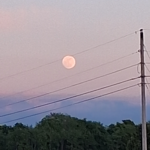 In my heart. Prod. PARANAVA x Komai *2020*