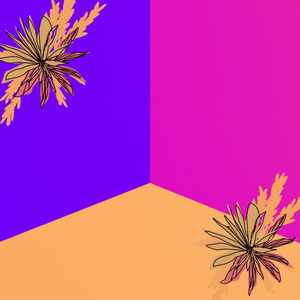 一尘不染轻松的夜晚印象数