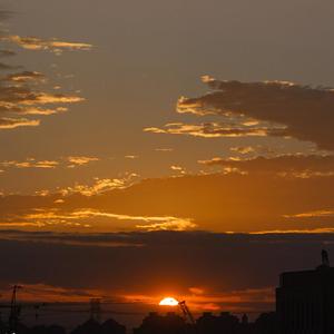 假装（翻自 刘大壮）